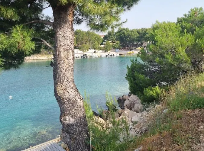 La Vista * 드라게